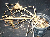 index_files/i0060000.jpg