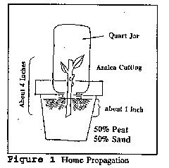 index_files/i0060000.jpg