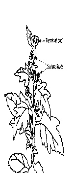 index_files/i0180000.jpg