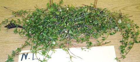 index_files/i0080000.jpg