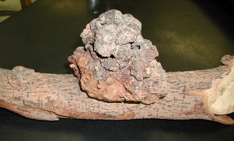 index_files/i0110000.jpg