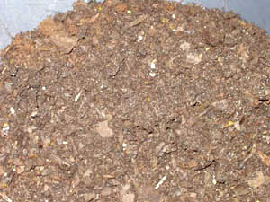 Bark Medium.jpg