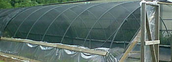 Shade Cloth.jpg