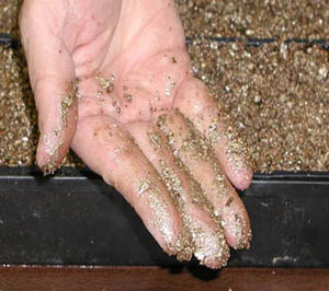 Vermiculite.jpg