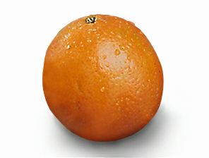 temple orange (royal manderan) 31C.jpg